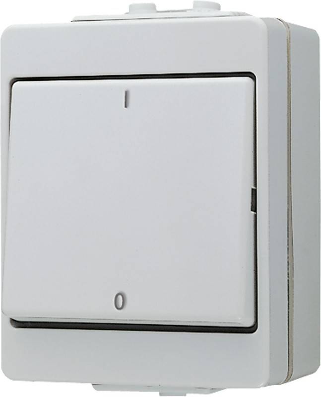 Jung Wippschalter 603 W