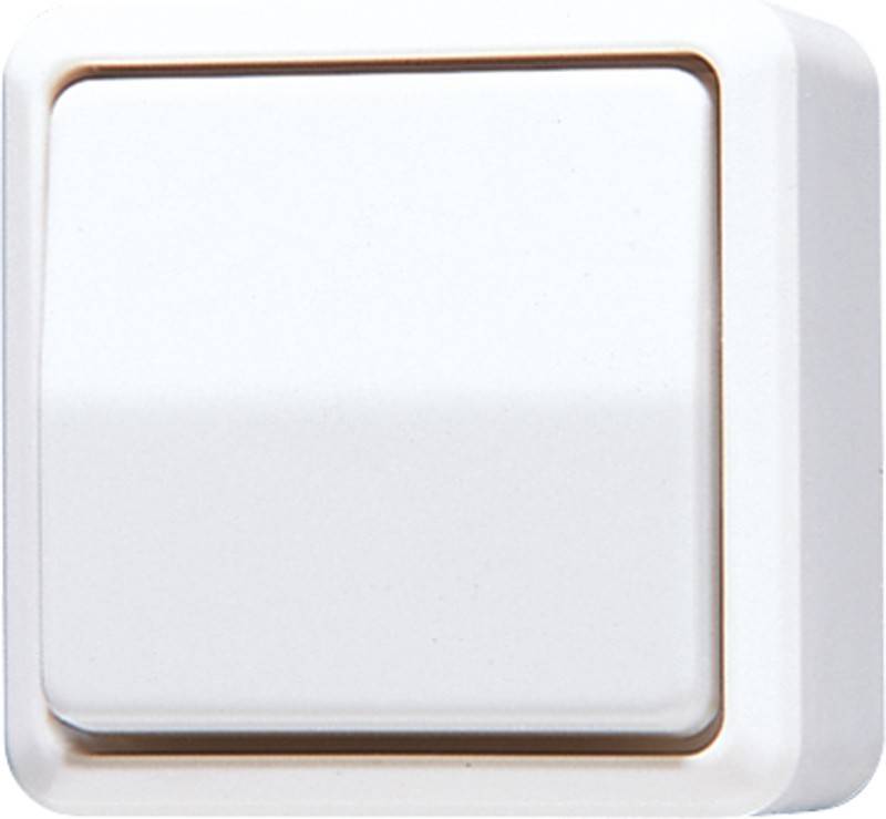 Jung Wippschalter 607 A WW