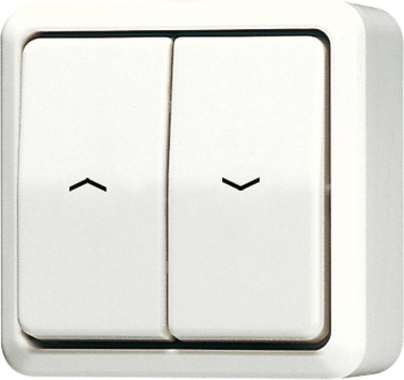 Jung Jalousie-Wippschalter ws 609 VA