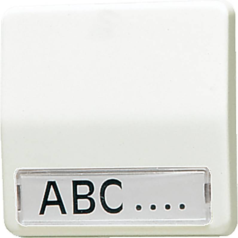 Jung Wippe Schriftfeld ws 60 NA