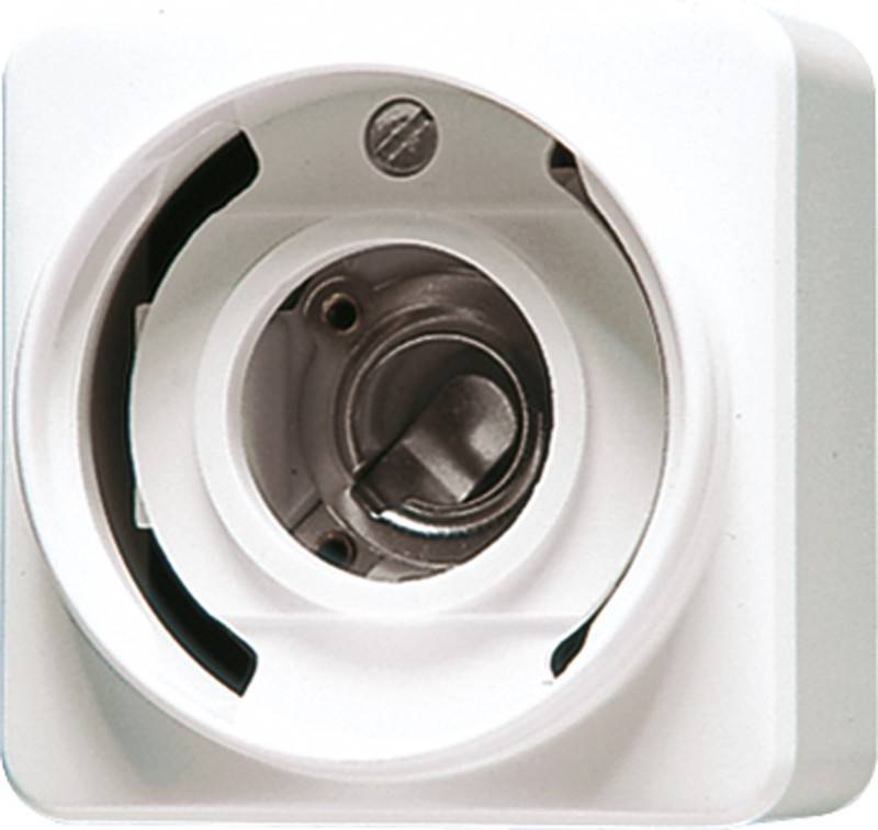 Jung Lichtsignal o.Haube aws 637-10 A WW