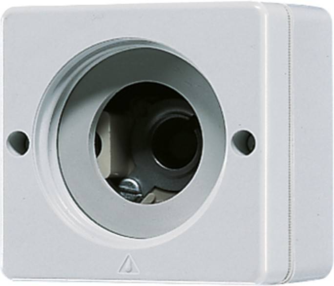 Jung Lichtsignal o.Haube 637-10 W