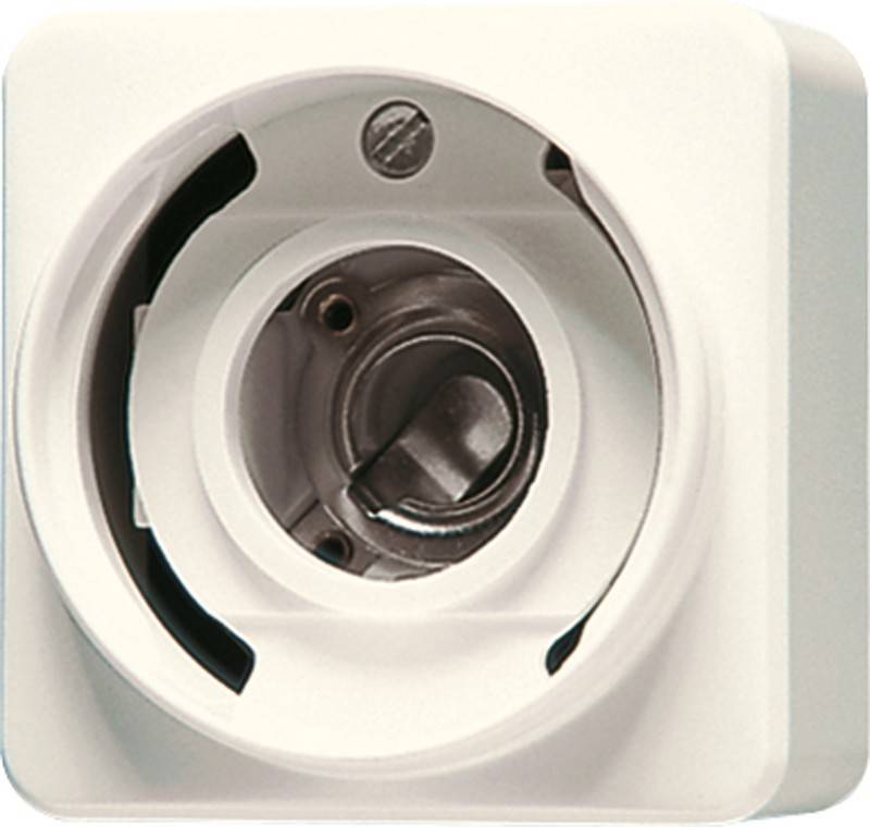 Jung Lichtsignal o.Haube ws 637-14 A