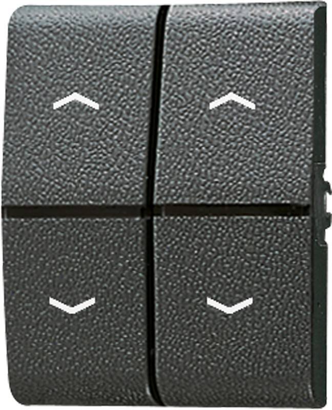 Jung Wippe Symbole/Lichtleiter 805 MP