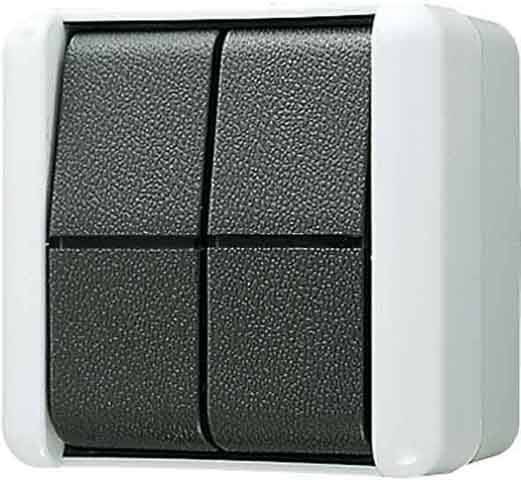 Jung Doppel-Taster 10AX 250V 839 NAW