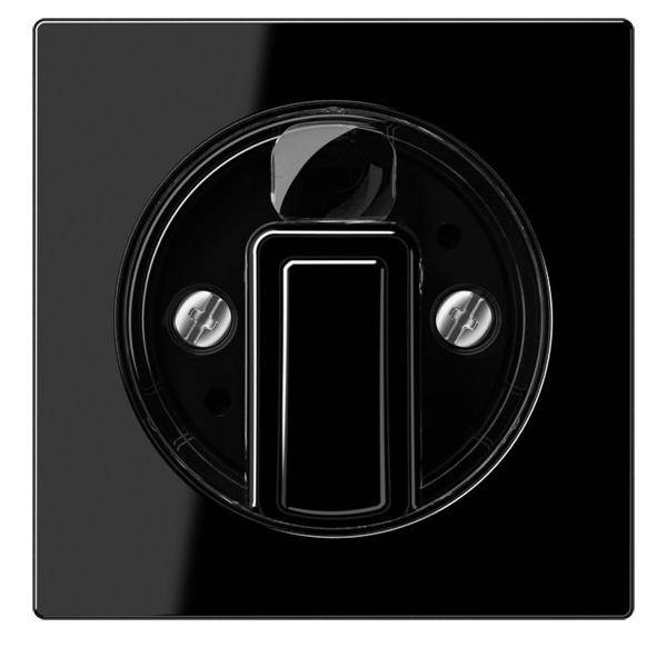 Jung Abdeckung A 1541 SW