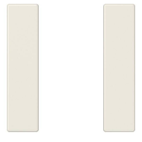 Jung Tastensatz, 1fach A 501 TSA