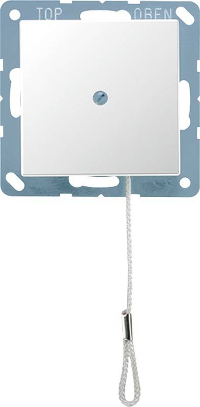 Jung Zugwechselschalter 10 AX A 506 BF NUZ AL