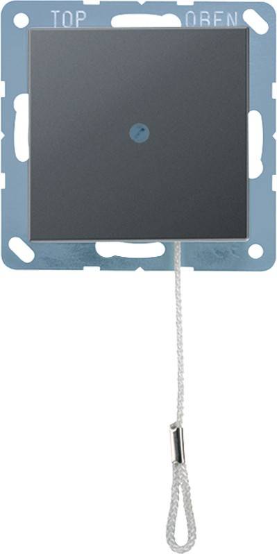 Jung Zugwechselschalter 10 AX A 506 BF NUZ ANM