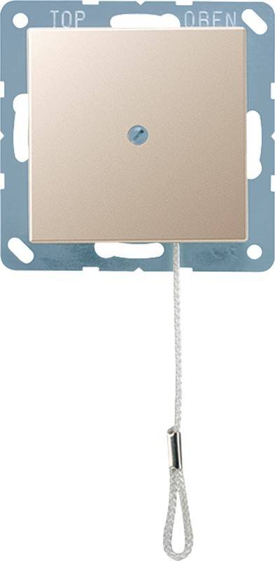 Jung Zugwechselschalter 10 AX A 506 BF NUZ CH