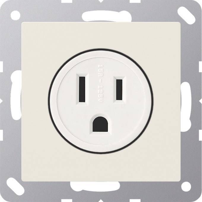 Jung Steckdose ws A 521-15