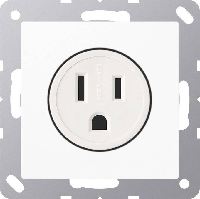 Jung Steckdose ws A 521-15 WW