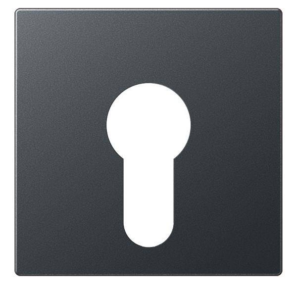 Jung Abdeckung A 525 PL ANM