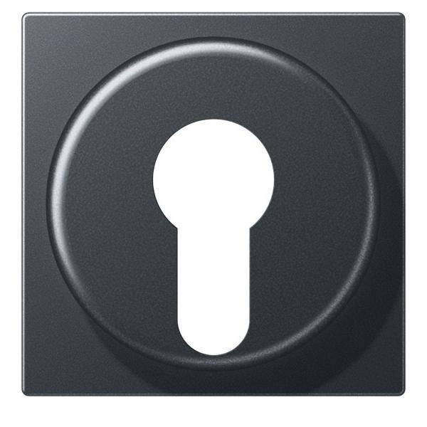 Jung Abdeckung A 528 PL ANM