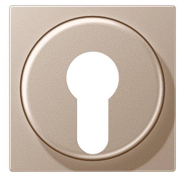 Jung Abdeckung champ. A 528 PL CH