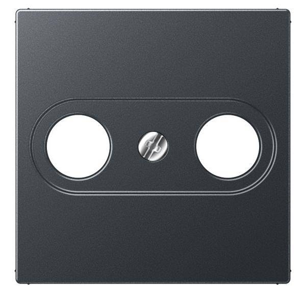 Eine schwarze Abdeckplatte mit zwei kreisrunden Aussparungen und einer zentralen Schraube, wahrscheinlich zum Montieren oder Abdecken von elektrischen Steckdosen oder Schaltern.