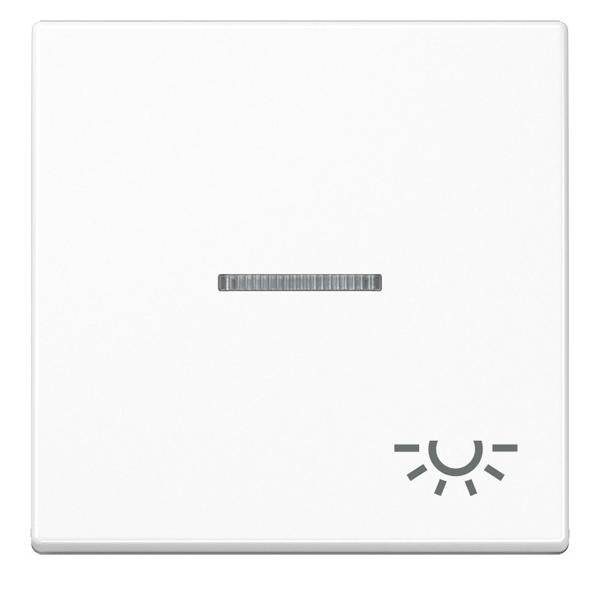 Jung Wippe Symbol Licht bel. A 590 BFKO5 L WW