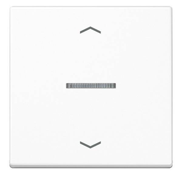 Jung eNet Funk-Steuertaste FM A 1700 BFP WW