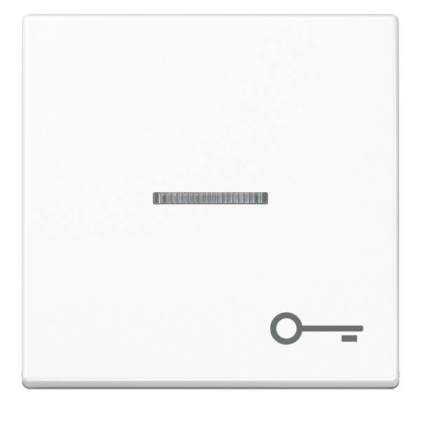 Jung Wippe Symbol Tür bel. A 590 BFKO5 T WW