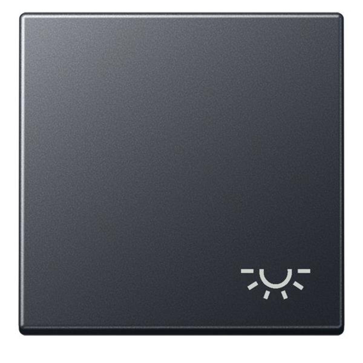 Jung Wippe Symbol Licht A 590 BF L ANM