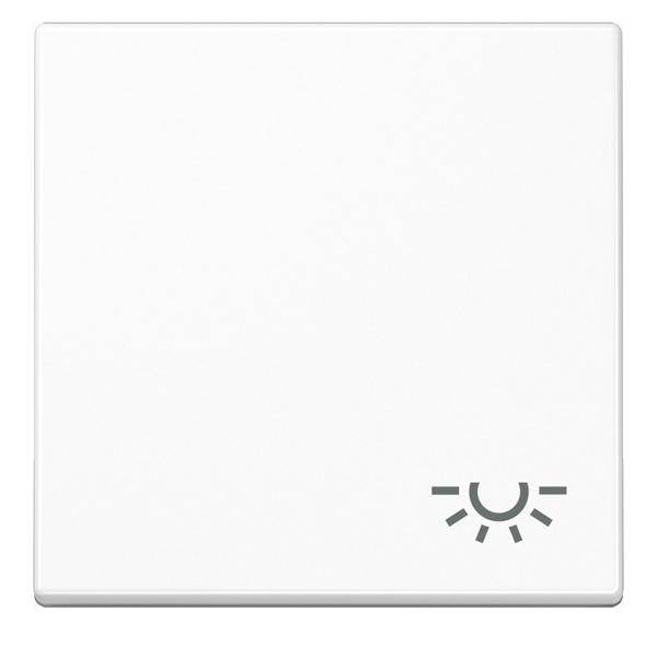 Jung Wippe Symbol Licht A 590 BF L WW