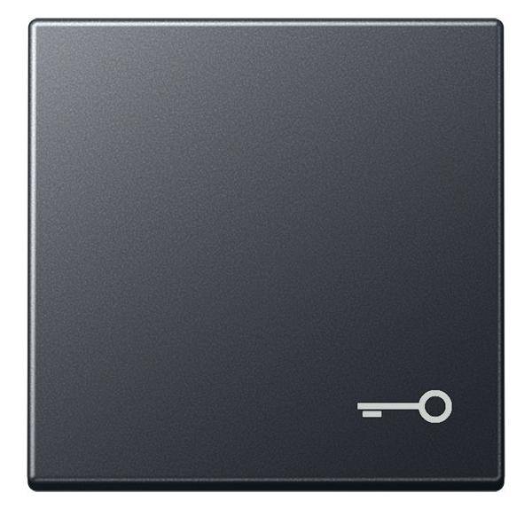 Jung Wippe Symbol Tür A 590 BF T ANM