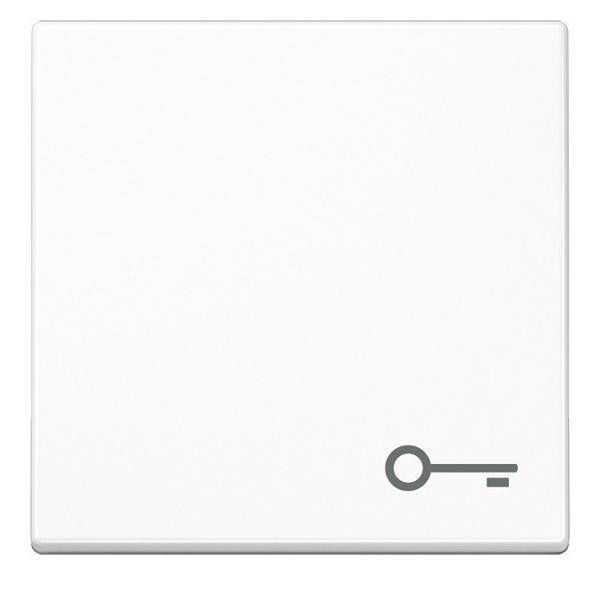 Jung Wippe Symbol Tür A 590 BF T WW