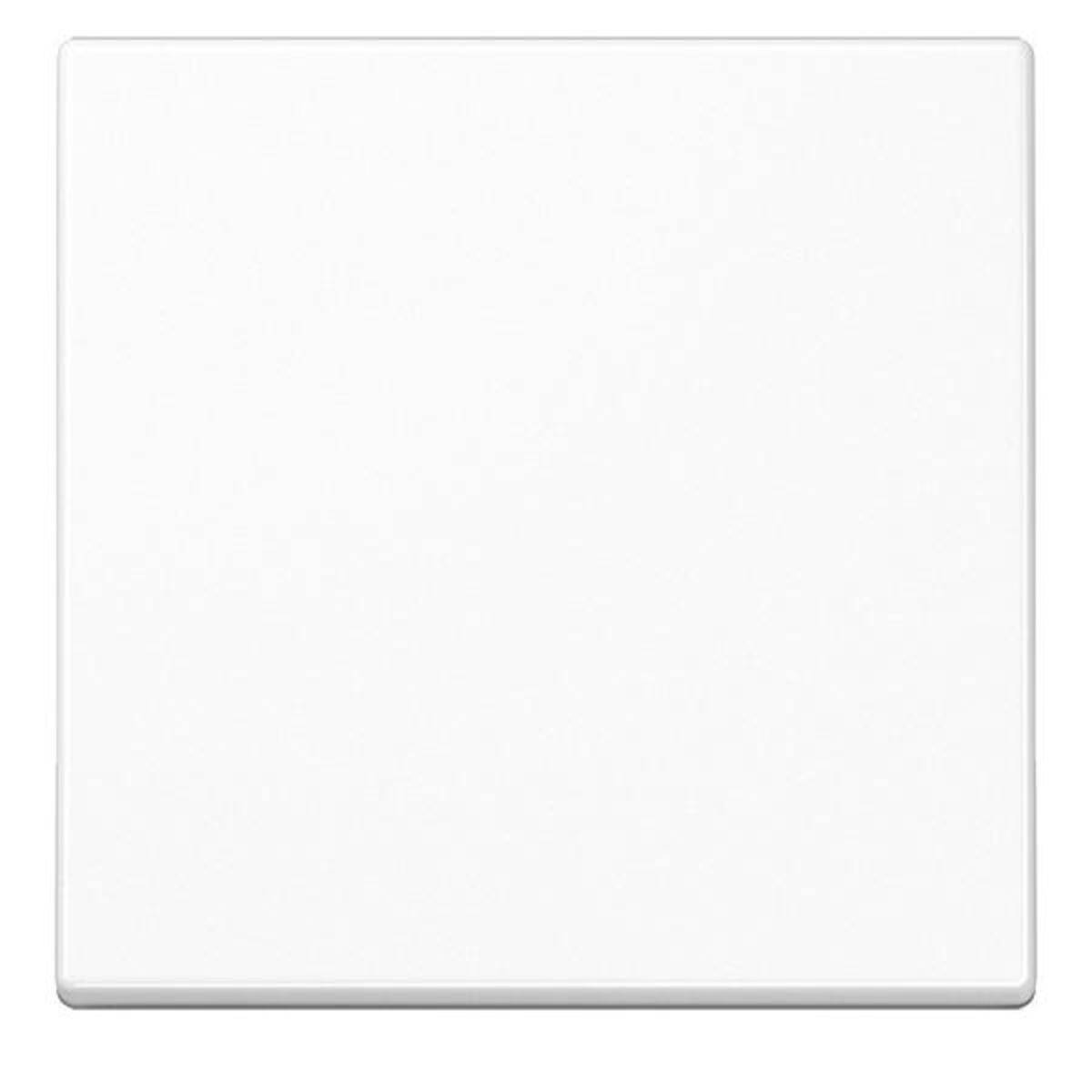 Jung Wippe 1-fach A 590 BF WW