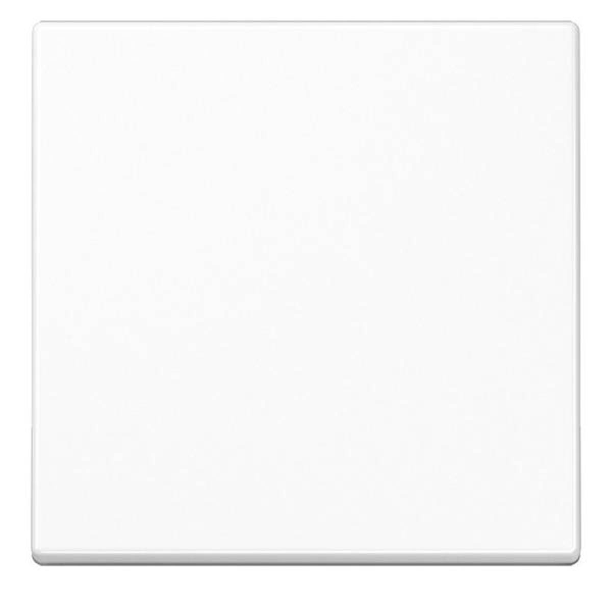 Jung Wippe 1-fach A 590 BF WW