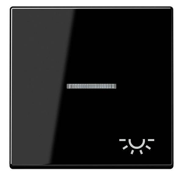 Jung Wippe Symbol LICHT sw A 590 KO5 L SW