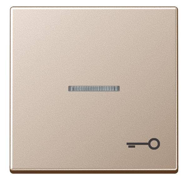 Jung Wippe Symbol TÜR champ A 590 KO5 T CH