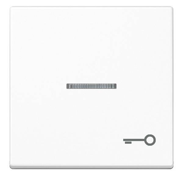 Jung Wippe Symbol TÜR aws A 590 KO5 T WW