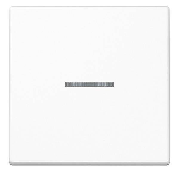 Jung eNet Funk-Steuertaste FM A 1700 BF WW