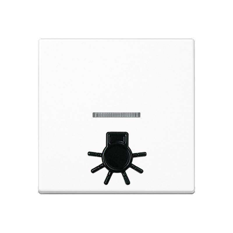 Jung Wippe abt.Symbol LICHT aws A 590 L1KO WW