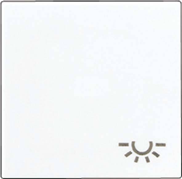 Jung Wippe Symbol LICHT alu A 590 L AL
