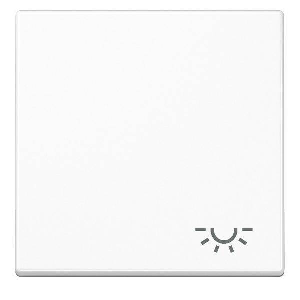 Jung Wippe Symbol LICHT aws A 590 L WW