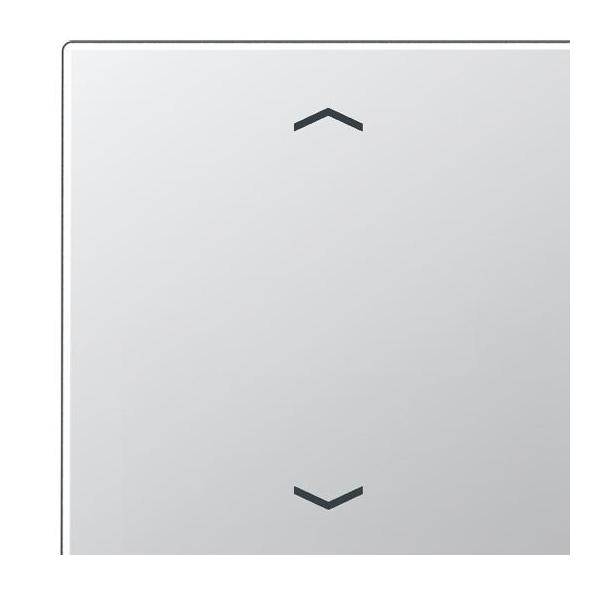 Jung Wippe Symbole alu A 590 P AL