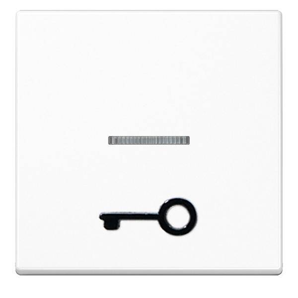 Jung Wippe abt.Symbol TÜR aws A 590 T1KO WW