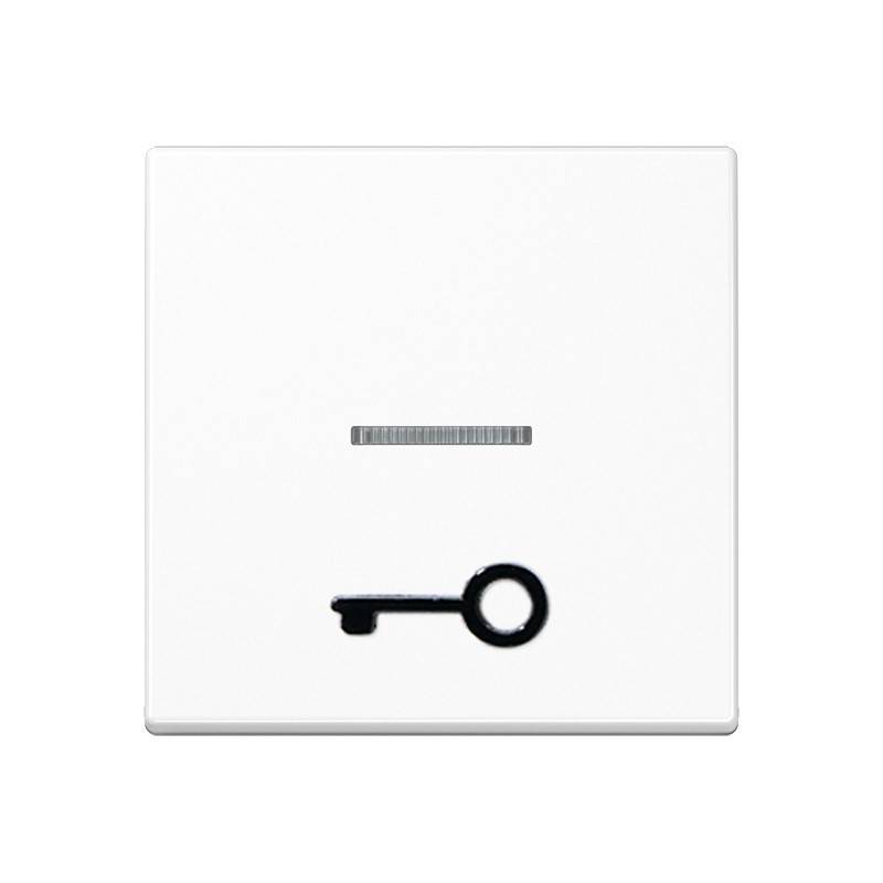 Jung Wippe abt.Symbol TÜR aws A 590 T1KO WW