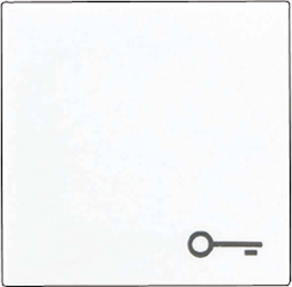 Jung Wippe Symbol TÜR alu A 590 T AL