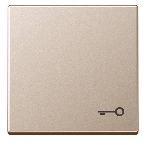 Jung Wippe Symbol TÜR champ A 590 T CH