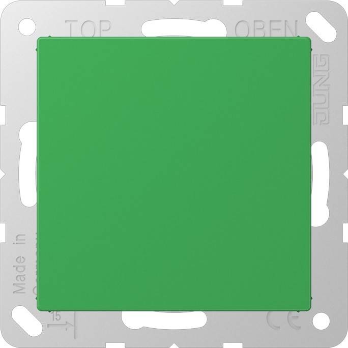 Jung Blind-Abdeckung A 594-0 GN