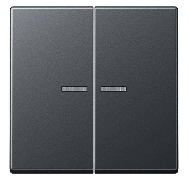 Jung KNX RF Taster 2fach A 10921 ST RF BF ANM