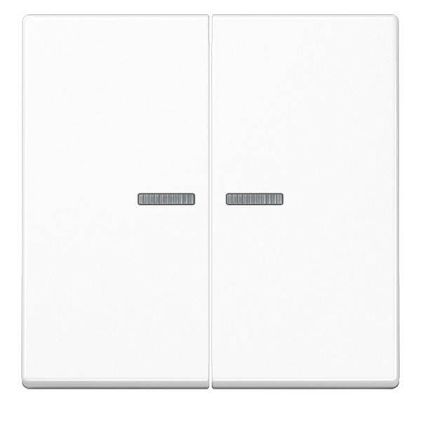 Jung Wippe 2-fach bel. A 595 BF KO5 WW