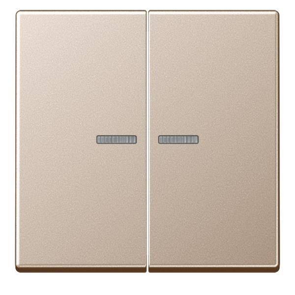 Jung KNX RF Taster 2fach A 10921 ST RF CH
