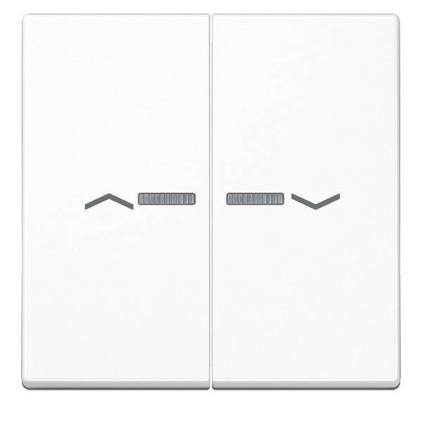 Jung Wippe Symbole aws A 595 KO5P WW