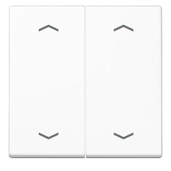 Jung Wippe Symbole aws A 595 MP WW