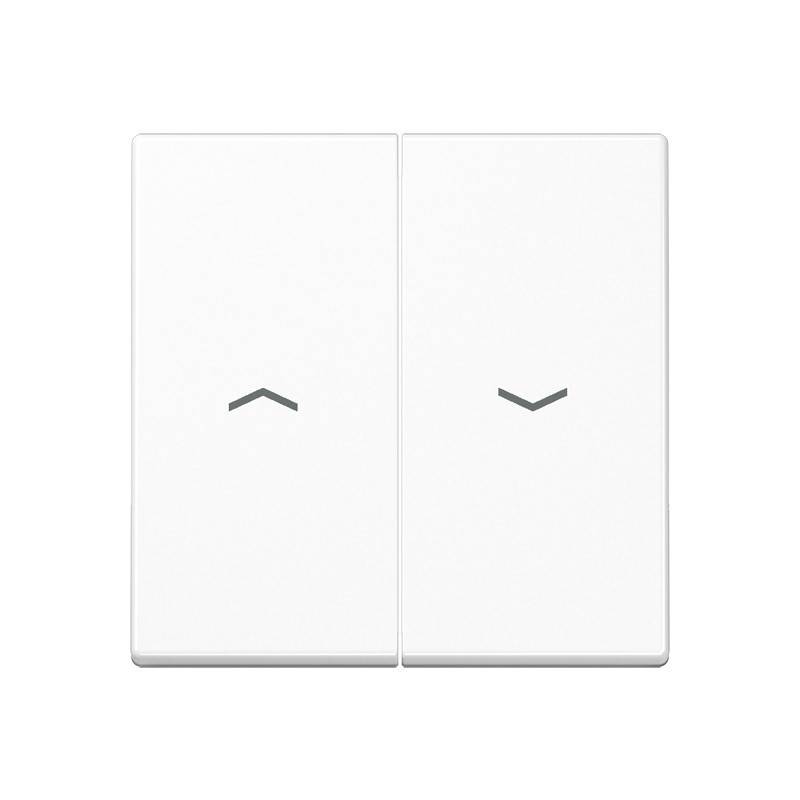 Jung Wippe Symbole aws A 595 P WW