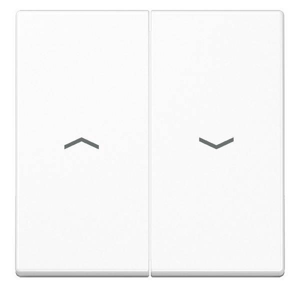 Jung Wippe Symbole aws A 595 P WW