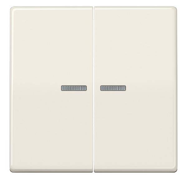 Jung Wippe ws ABAS 591-5 KO5